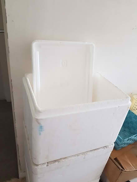 Photo of free Polystyrene boxes with lids (Kendal LA9) #2