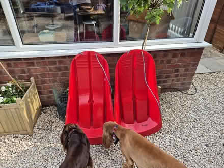 Photo of free 2 red sledges (Winyates Green B98) #1