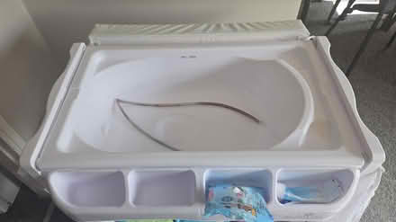 Photo of free Babylo changer (D6) #4