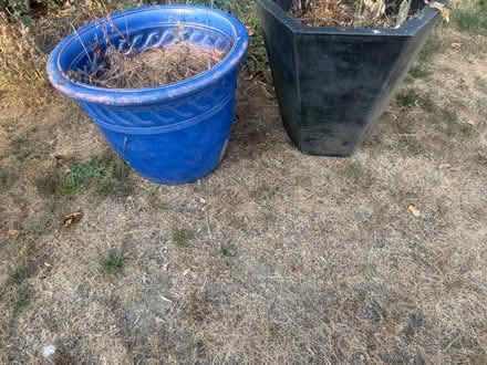 Photo of free 2 large flower pots blue black (Lewes Bn7 BN7) #2
