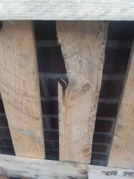 Photo of free Large wooden pallet (stalybridge SK15) #4