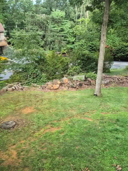 Photo of free 2 cords oak firewood (Green knoll Fayetteville) #1