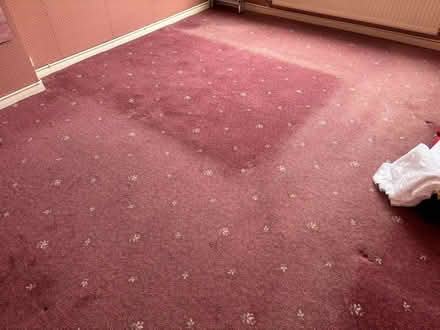 Photo of free Carpets (South Wootton PE30) #3
