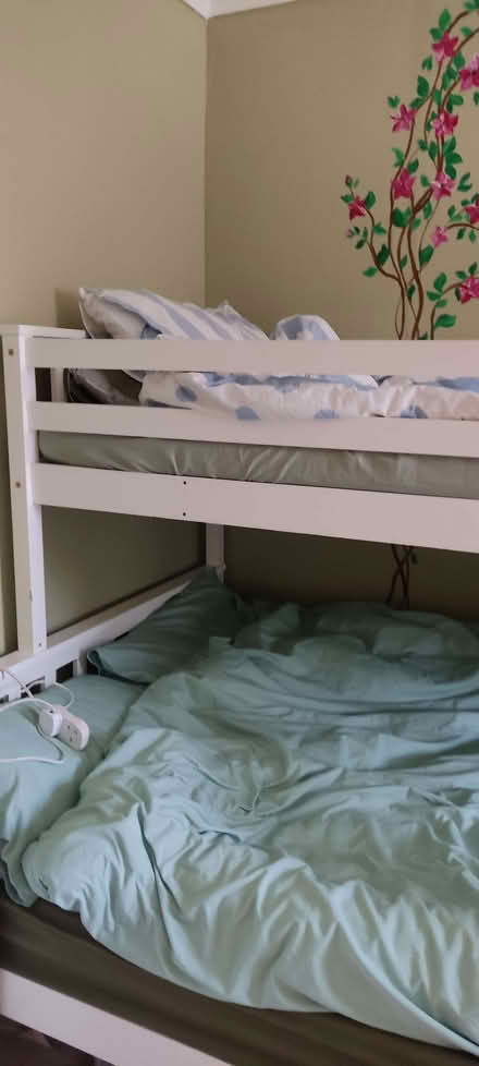 Photo of free White bunkie bed (Shap CA10) #2