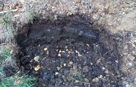 Photo of free Well rotted horse manure (Pant SY10) #1