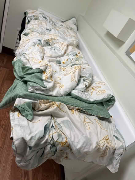 Photo of free Queen-size comforter & pillowcases (1075 Valencia Avenue) #1