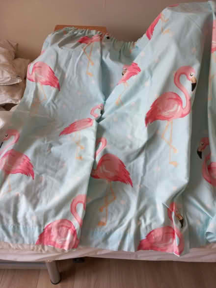 Photo of free Pair of flamingo curtains (Bare LA4) #1