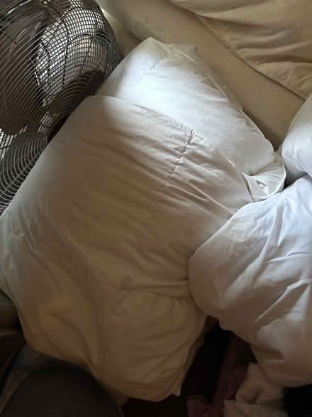 Photo of free King size duvet bundle (Llandybie SA183JQ) #3