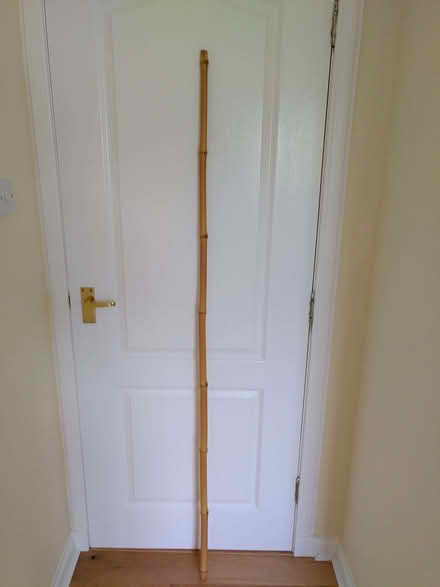 Photo of free Bamboo pole (Whitehill EH22) #1