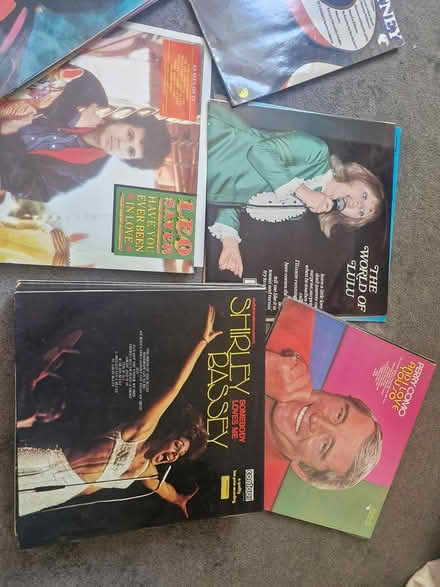 Photo of free Vinyls (Moulscoombe BN1) #1