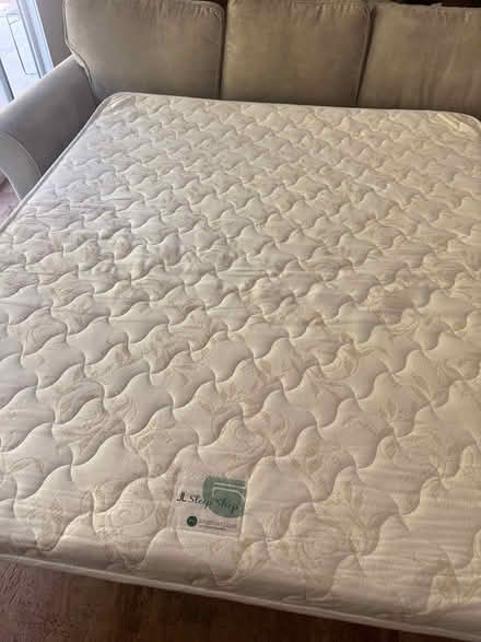 Photo of free Queen sized sofa bed (North Glendale) #2