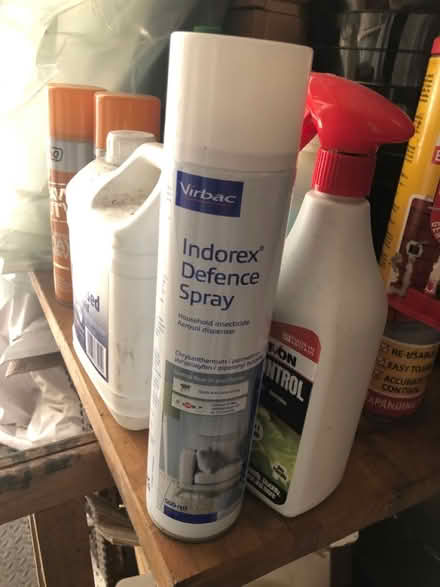 Photo of free Flea treatment for the home (oxford OX4) #1