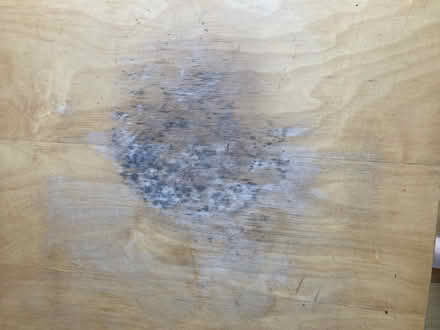 Photo of free Square Wooden light pine Coffee table (South Chailey BN8) #3