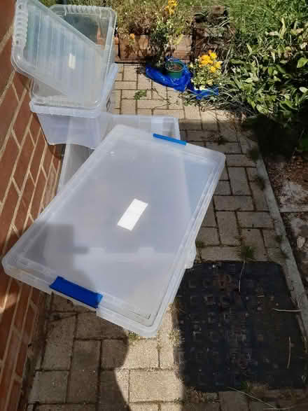 Photo of free Plastic storage crates (Leeman Road YO26) #1
