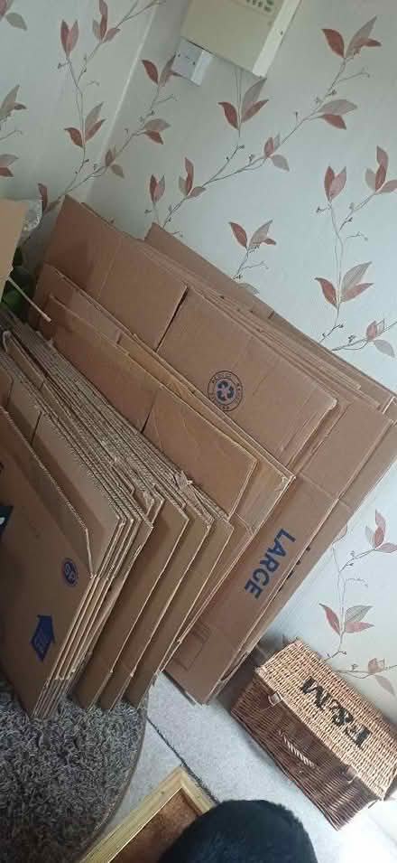 Photo of free Packing/Removals Boxes (Rastrick HD6) #3