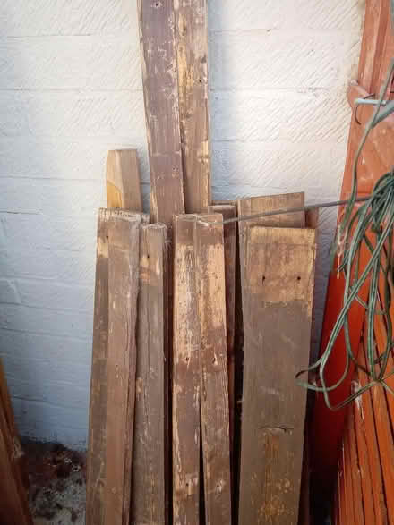Photo of free Wood (Orton Goldhay PE2) #1