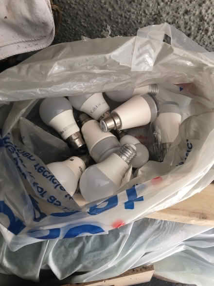 Photo of free Light bulbs various (oxford OX4) #1