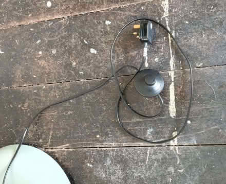 Photo of free Giant Freestanding Lamp (Portishead BS20) #4