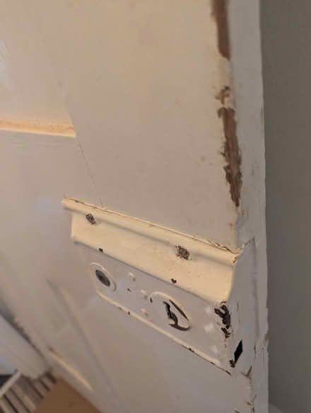 Photo of free Edwardian vintage hardwood door 760x1960x 36 mm (Eastbourne BN21) #3