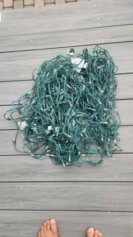 Photo of free Christmas net light sets for bushes (North end) #1