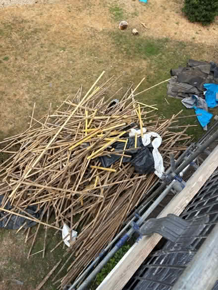 Photo of free Fire wood (gobowen SY11) #1