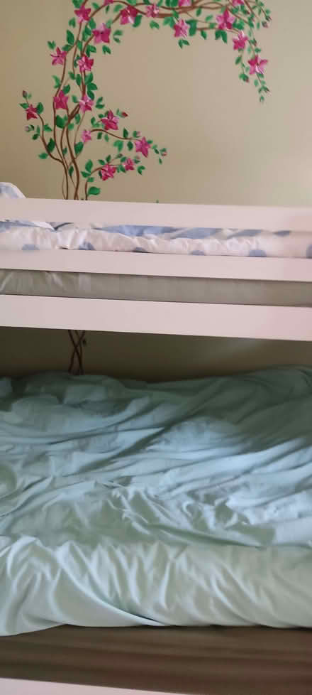 Photo of free White bunkie bed (Shap CA10) #1