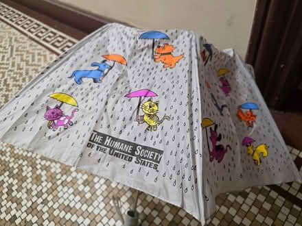 Photo of free Cute Pet Umbrella - Needs Repair (Washington Heights / Inwood) #1
