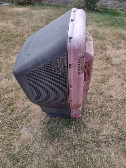 Photo of free grass catcher for lawn mower (Yew Tree WS5) #2