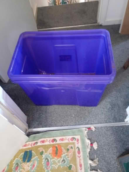 Photo of free Storage items (Boothgate DE56) #1