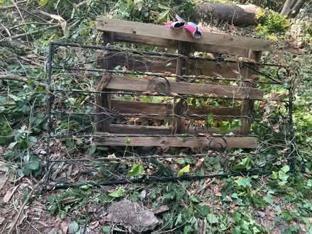 Photo of free Metal gate (Tunbridge wells TN4) #1