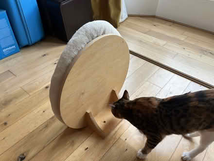 Photo of free Cat bed (Ibrox G51) #4