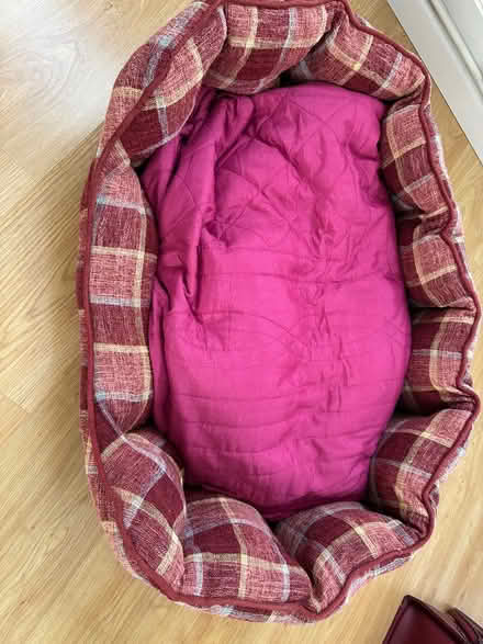Photo of free Soft dog bed (Southville, Cwmbran) #3