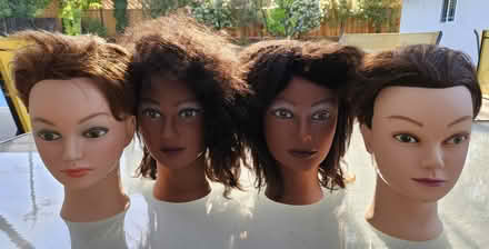 Photo of free Set of 4 Mannequin Heads (Saratoga, CA) #1