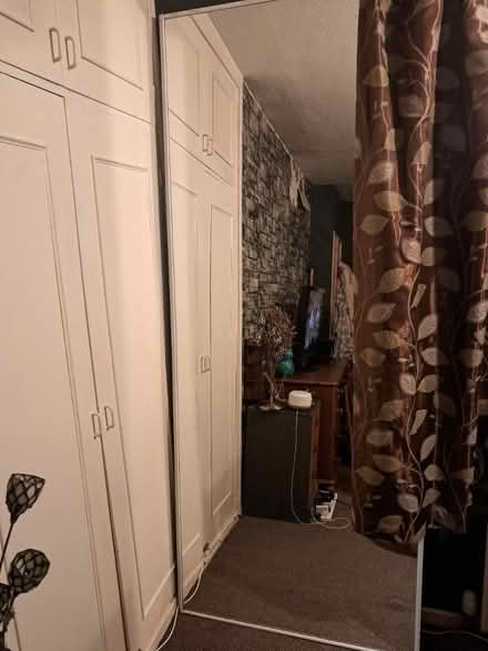 Photo of free Mirrored door (West Malling) #1