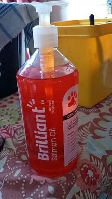 Photo of free Salmon Oil For Cats/Dogs (River CT16) #1