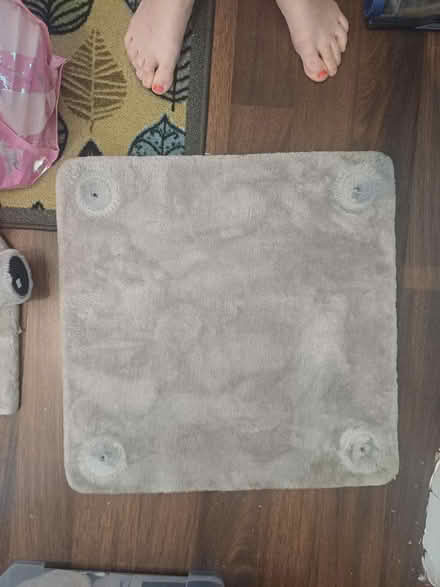 Photo of free Parts for cat tree (Mottingham SE9) #3