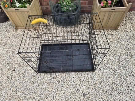 Photo of free Medium dog cage (Winyates Green B98) #1