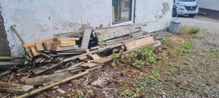 Photo of free Wood (Fowlis Wester PH7) #2