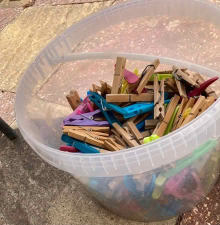 Photo of free Clothes pegs: wood and plastic (Barton OX3) #2