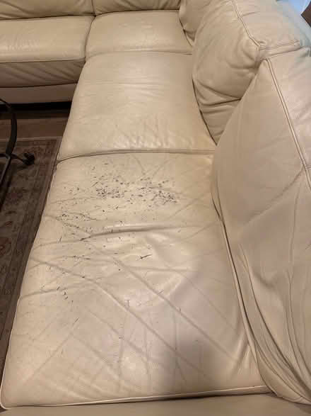 Photo of free Leather sectional couch (Mitchellville) #4