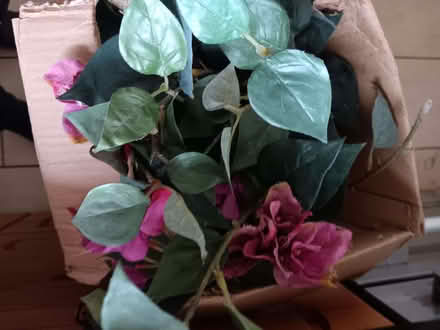 Photo of free Purple plastic flowers decor in a box (Paradise DY2) #1