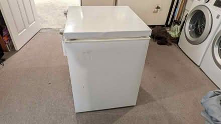 Photo of free Kenmore Freezer (Stewart Farm) #3