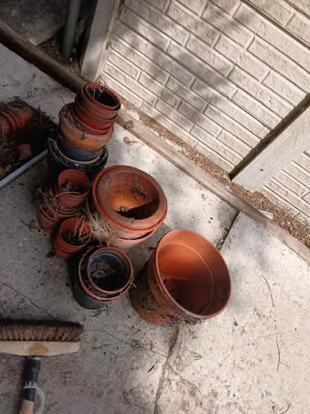 Photo of free Plant pots (Cheddington LU7) #1