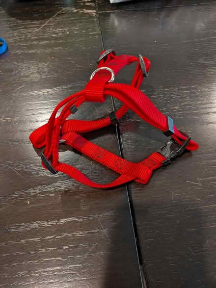 Photo of free Red Doggie Harness (Broadview) #2