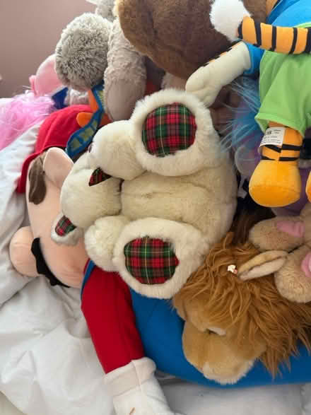 Photo of free Teddies and few dolls (Shefford SG17) #3
