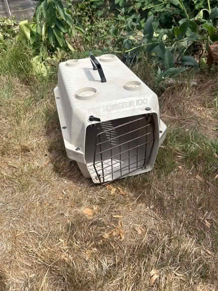 Photo of free Animal Carrier (North Tonbridge TN10) #1