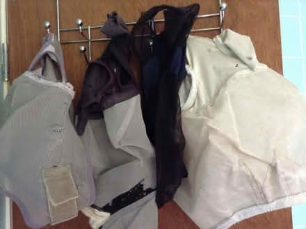 Photo of free Horse / pony hot weather items (Upper Bevendean BN2) #2
