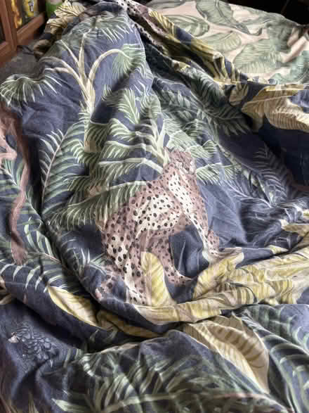 Photo of free Safari bedding (St. Dunstan's CT2) #1