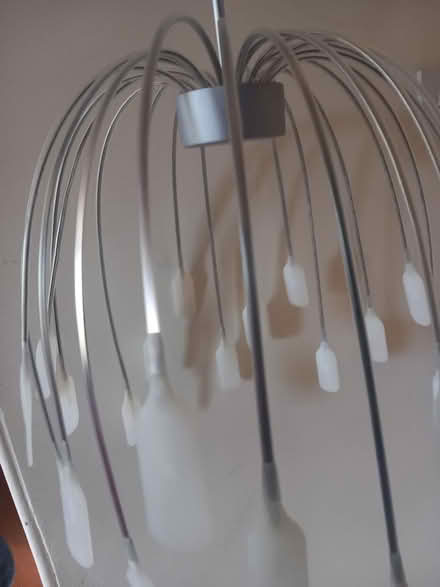 Photo of free Decorative ceiling light (Knaresborough. HG5) #1