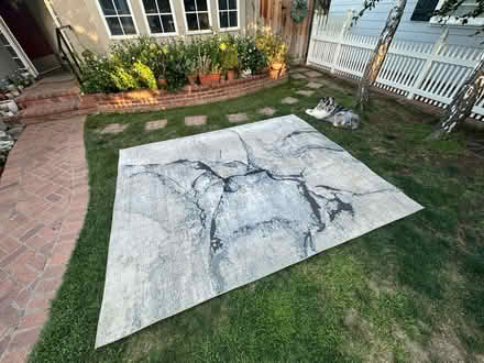 Photo of free Large area rug (Downtown Sunnyvale) #2